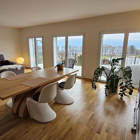 Panoramic View I 20 Min To Interlaken *