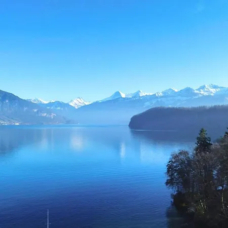 Panoramic View I 20 Min To Interlaken شقة سبيز