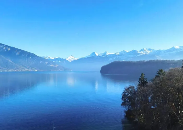 Panoramic View I 20 Min To Interlaken Apartament Spiez